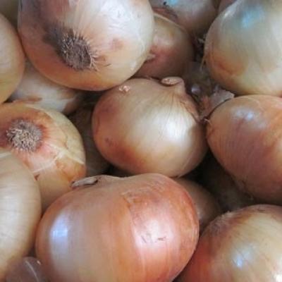 HÀNH TÂY ĐÀ LẠT